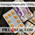 Kamagra Chewable 100Mg new12